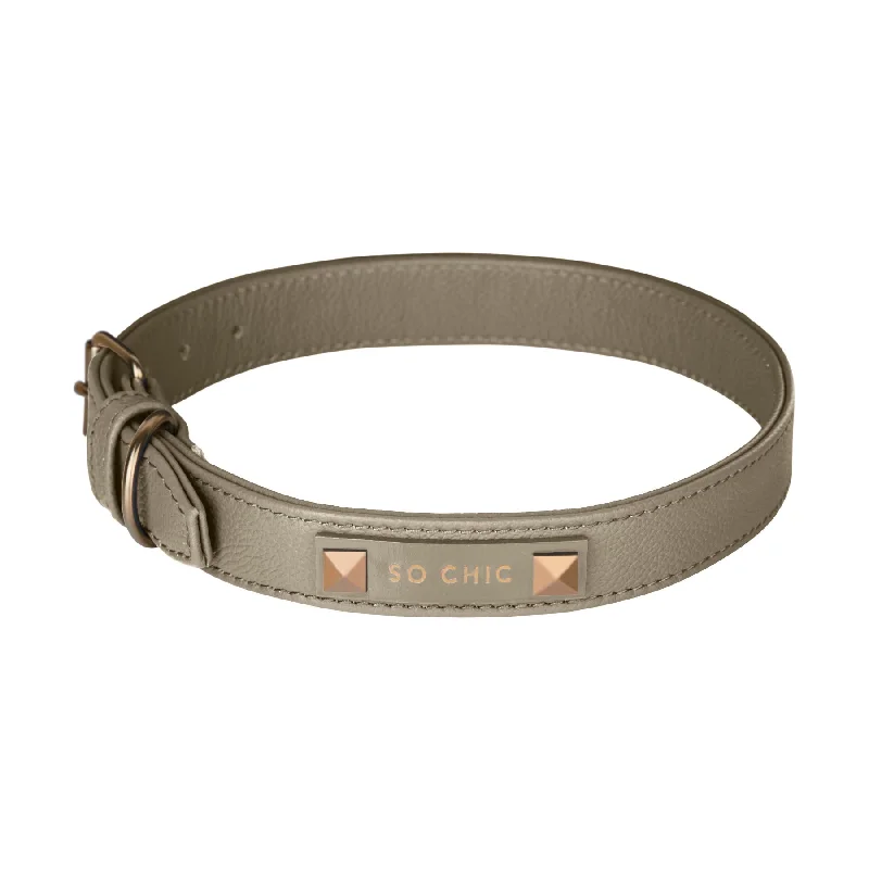  . **Pet traction rope is anti-explosion**Dog collar - Taupe Éternel 🤎