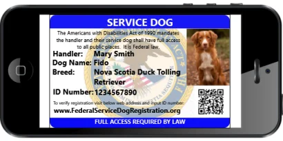  . **Pet collar with custom engraving**Digital Version of ID Card (emailed) (v2)