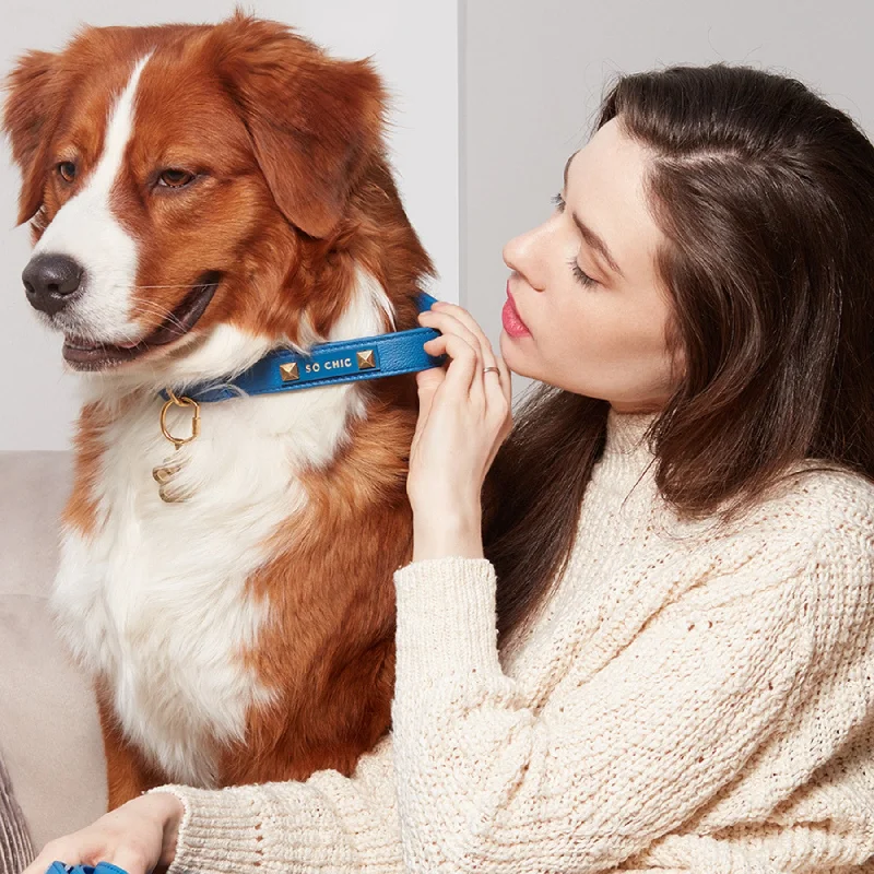   . **Dog bathing brush massage**Dog collar - Royal Blue 💙