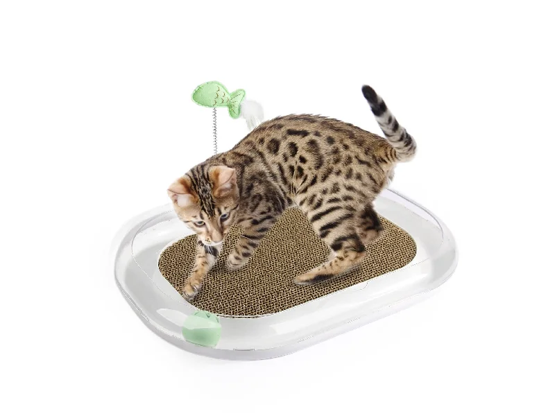 - Pet monitor with cameraCat Runway Scratcher