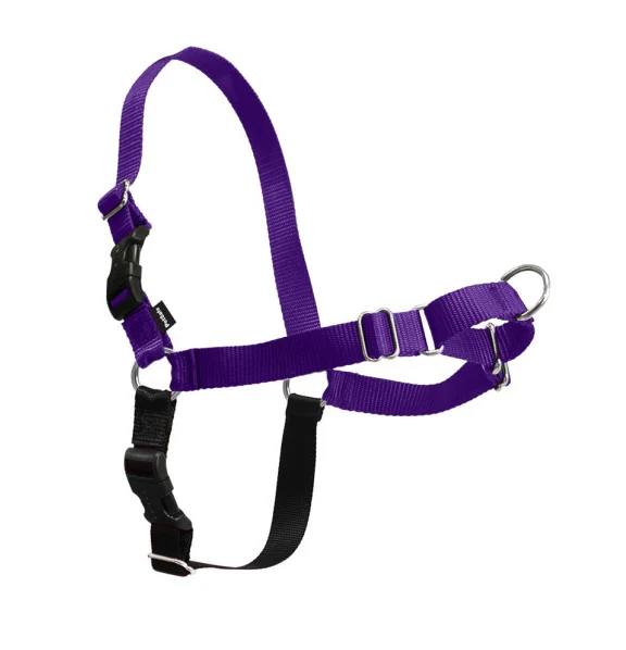 - Remote interactive pet feederPetSafe Easy Walk Deep Purple & Black Dog Harness (Large)