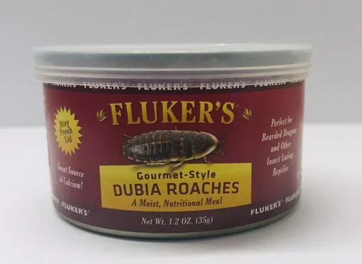  -Non-contact cat thermometerFLUKER FARMS 1.2 OZ. GOURMET-STYLE CANNED DUBIA ROACHES