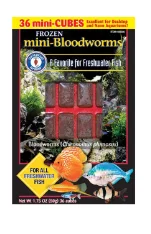 ---San Francisco Frozen Bloodworm Cubes 1.75 oz