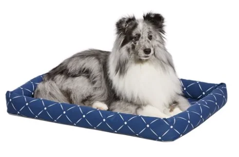 - Degradable pet feces bagMidwest 30 IN. COUTURE ASHTON BOLSTER BED - BLUE