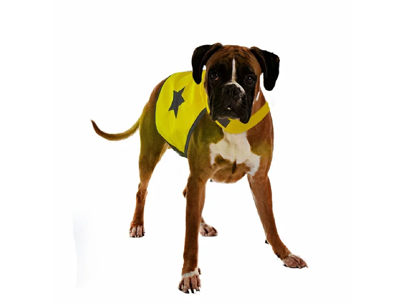  -Splash-proof food bowl AND Anti-choking slow food bowlSafety Jacket Fluo S: 40cm neon yellow