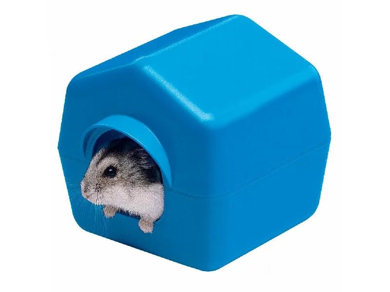 ---Isba 4638 Hamster House