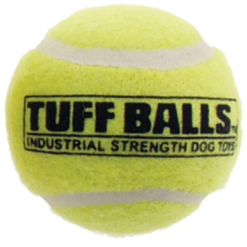 - Remote interactive pet feederPetsport Tuff Balls