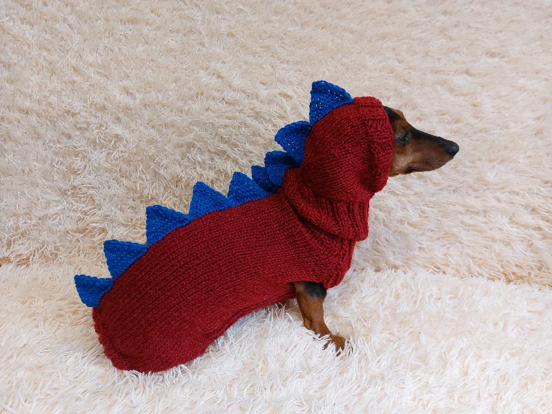 Winter warm clothes for catsDinosaur Dragon dog Costume Sweater and Hat Zoo Animal Clothes