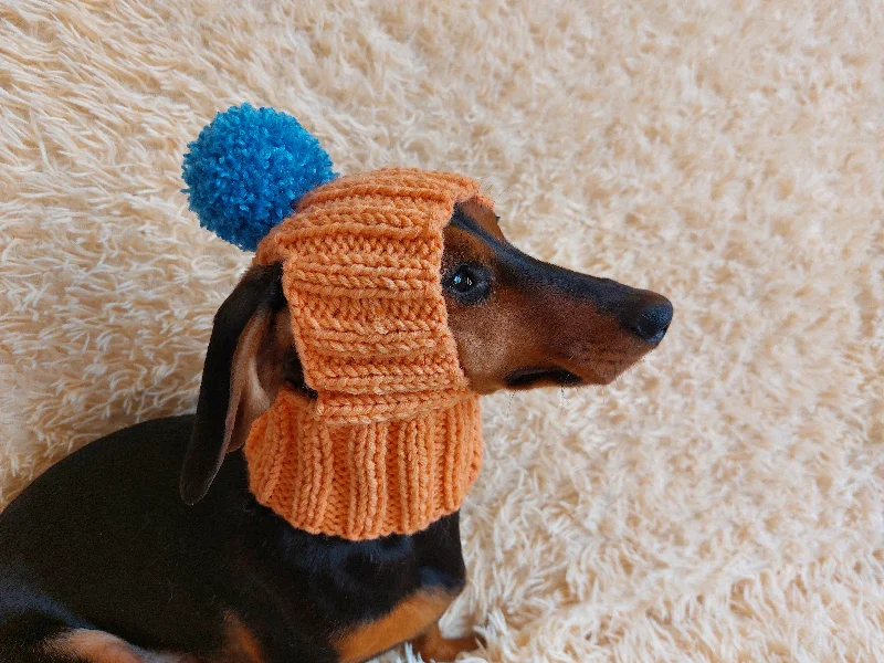 Small dog clothesWinter hat for a dog with handmade pom-poms