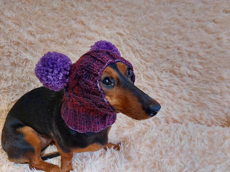 Pet holiday dress-up clothesHat winter pet wool with pompoms,clothes warm hat for dog