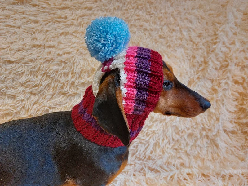 XX brand pet fashionRainbow striped snood hat for dogs, rainbow hat for dachshunds with open ears