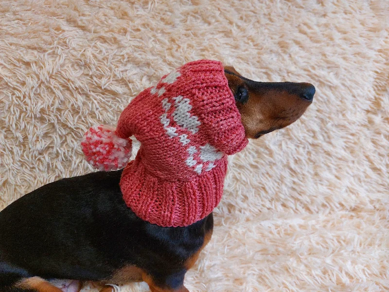 Pet fashion clothesPaws clothes hat for dachshund or small dog,hat print paws with pom pom for dog,clothes with paws for dogs