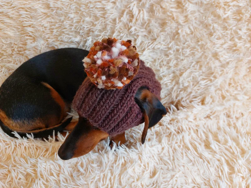 Pet anti-allergic clothesWinter hat for a dog with handmade pom-poms