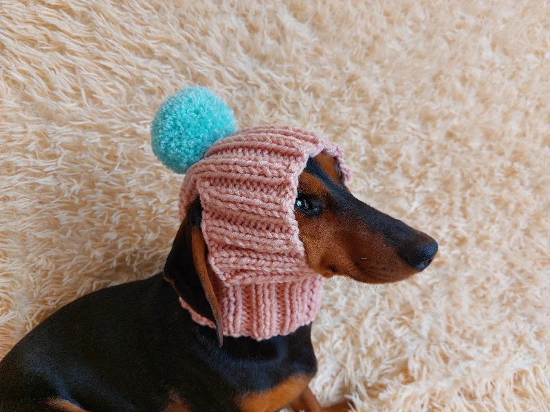 Pet ClothesWinter hat for a dog with handmade pom-poms