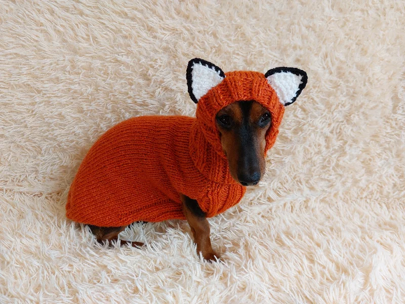 Focus on health and safety:Fox Costume for Pet - Dog Halloween Costume, Sweater and Hat - Fox Set for Dachshund for Dog Photo Shoot - Halloween Costume for Small Dog