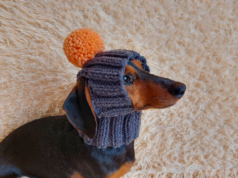 Large dog clothesWinter hat for a dog with handmade pom-poms