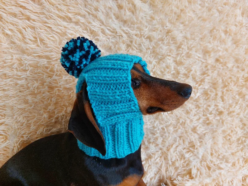 Pet easy-to-wear and take-off design clothesWinter hat for a dog with handmade pom-poms