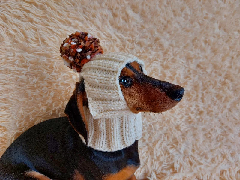 Dog clothesWinter hat for a dog with handmade pom-poms