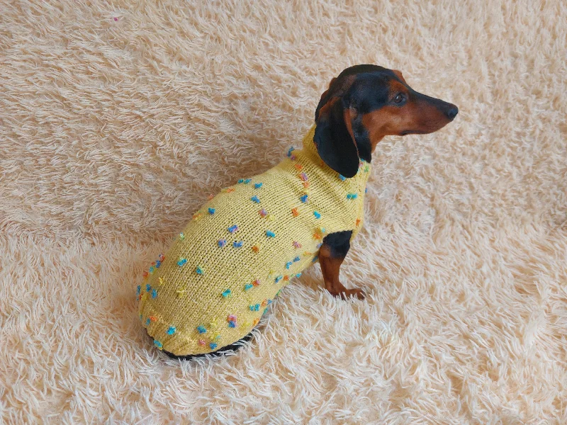 Combined with specific occasions:Jumper with flowers for a mini dachshund,Sweater with flowers and butterflies for miniature dachshund or small dog.