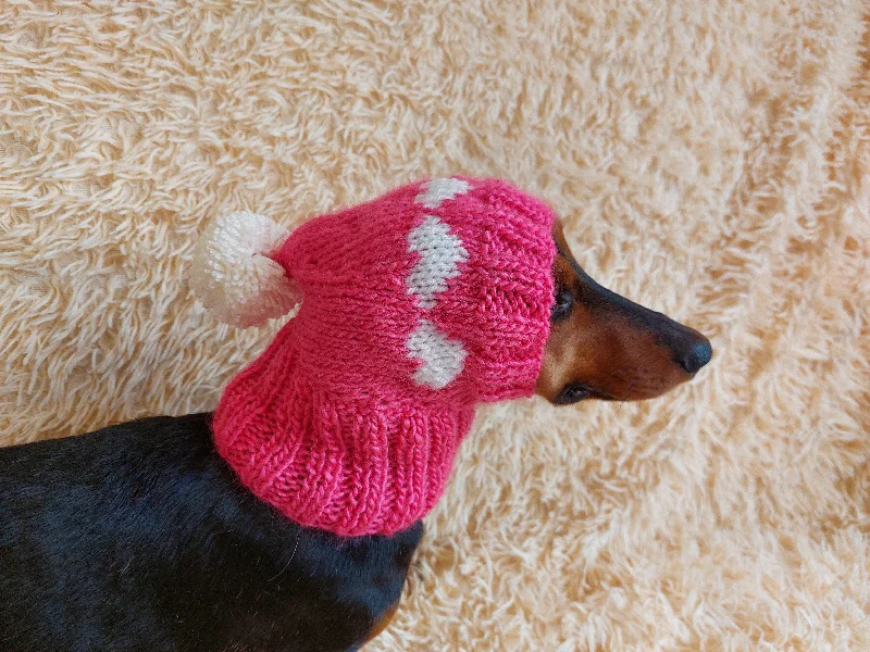 Focus on health and safety:Knitted clothes dog hat with hearts for valentine's day