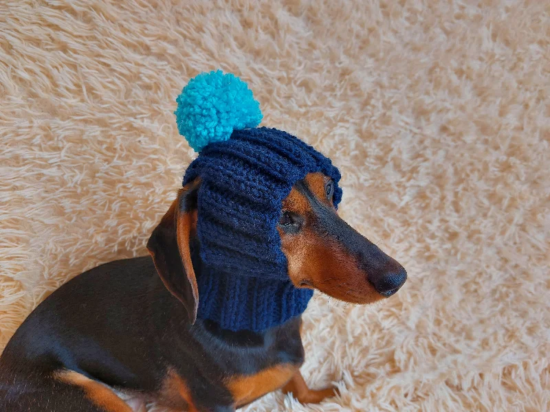 Classification by pet type:Winter hat for a dog with handmade pom-poms