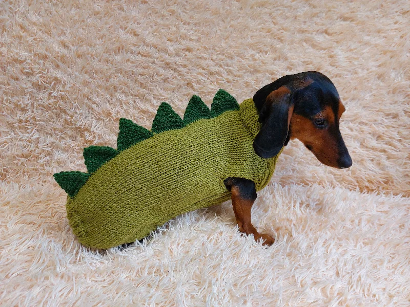 Pet raincoatDog dinosaur knitted clothes sweater, dinosaur sweater for dogs, original dog clothes dinosaur sweater