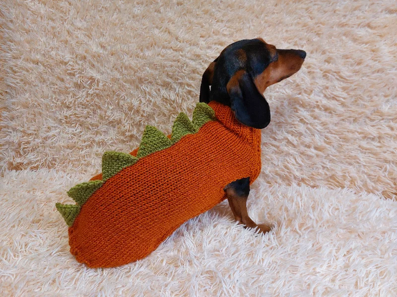 Pet summer light clothesDinosaur dragon  dog sweater zoo animal dog clothes