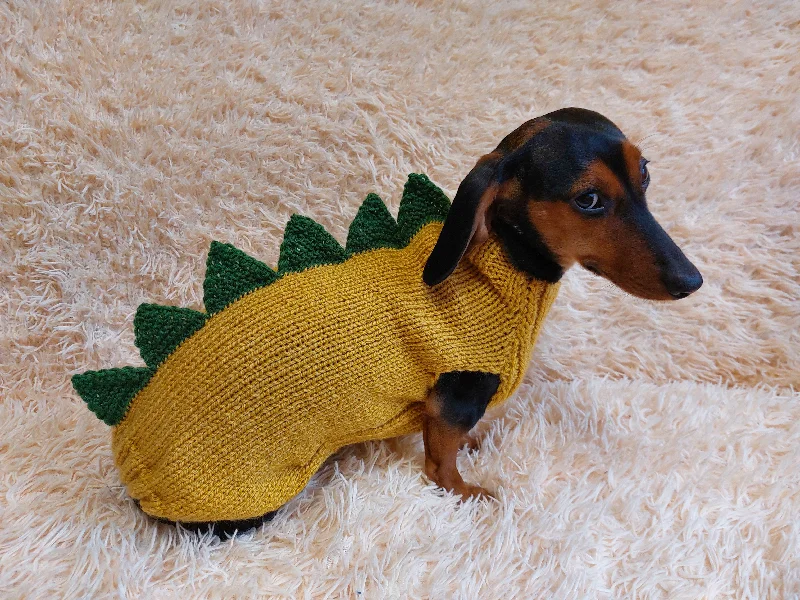 Classification by season or weather:Dinosaur dragon  dog sweater zoo animal dog clothes