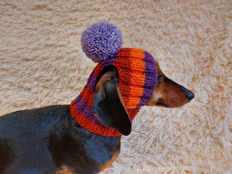 Classification by brand or style:Rainbow striped snood hat for dogs, rainbow hat for dachshunds with open ears