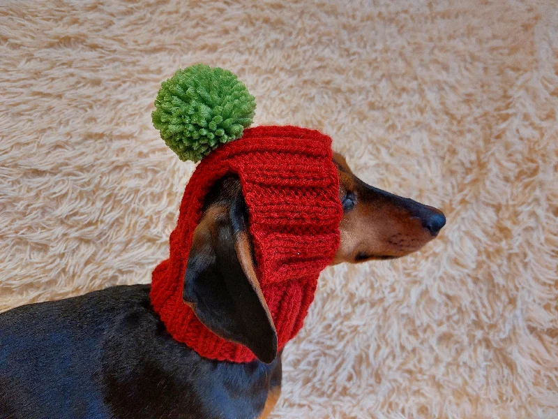 Pet lace clothesHat for dog with pompom and holes for the ears