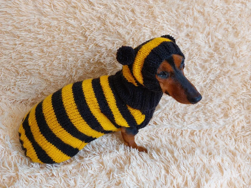 Pet Christmas clothesBee Costume for Pet - Halloween Costume Sweater and Hat - Bee Dachshund Bee Set for Dog Photo Shoot - Dog Halloween Costume for Small Dog