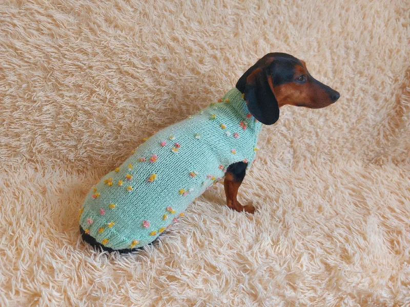 Pet wedding dressesJumper with flowers for a mini dachshund,Sweater with flowers and butterflies for miniature dachshund or small dog.