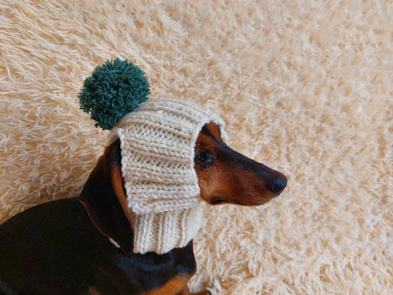 Cat clothesWinter hat for a dog with handmade pom-poms