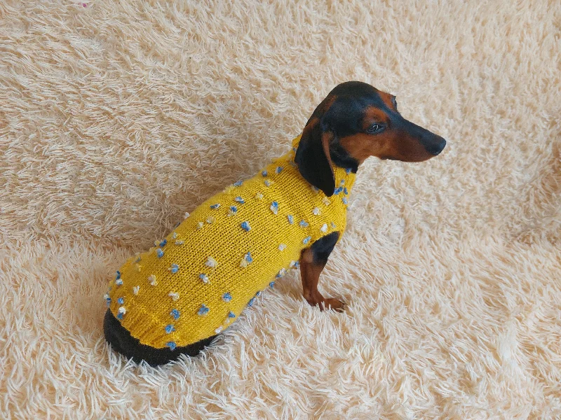 Pet birthday party clothesJumper with flowers for a mini dachshund,Sweater with flowers and butterflies for miniature dachshund or small dog.