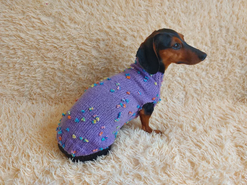 Pet Halloween clothesJumper with flowers for a mini dachshund,Sweater with flowers and butterflies for miniature dachshund or small dog.